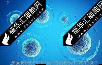 北京301醫院打干細胞多少錢一針，干細胞多久打一針